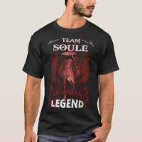 Team SOULE - An Endless LEGEND