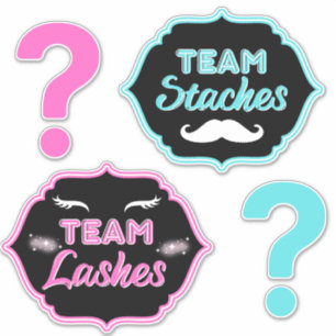 TEAM Staches or Lashes Pink Blue Gender Reveal