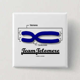 Team Telomere (Biology Humour) 15 Cm Square Badge