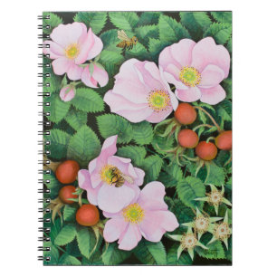 Team Work 2011 Notebook