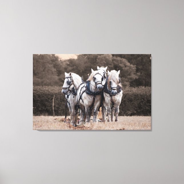 Team work canvas print (Front)