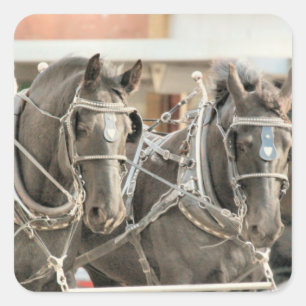 Team  work square sticker