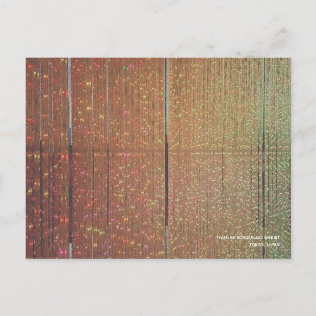 TeamLAB Borderless Exhibit Tokyo Japan Postcard (Front)