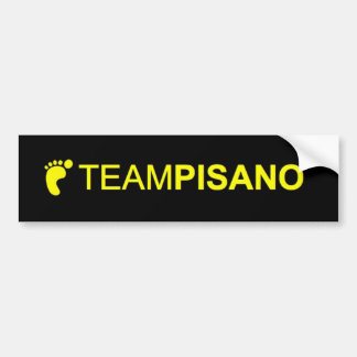 TeamPisano Bumper sticker