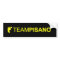 TeamPisano Bumper sticker