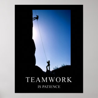 Teamwork is Patience Motivational Poster