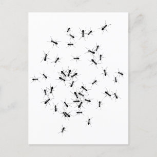 Teamwork makes the Dream Work Postcard