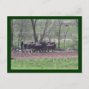 ~ Teamwork ~ Postcard