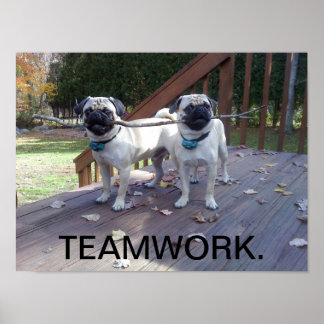 Teamwork Poster! Pugs working together! Poster