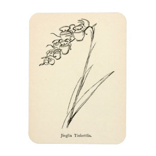 Teapot flower plant vintage illustration magnet