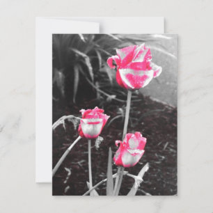 Tear Drop Roses -Design 2