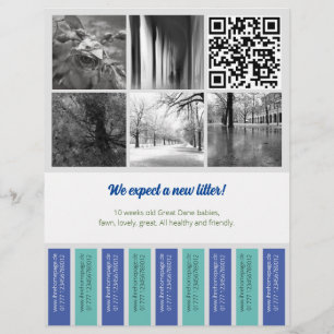 Tear Off Flyer Puppy selling blue green