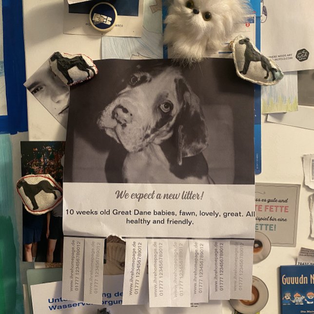 Tear Off Flyer Puppy selling red green  (Creator Uploaded)