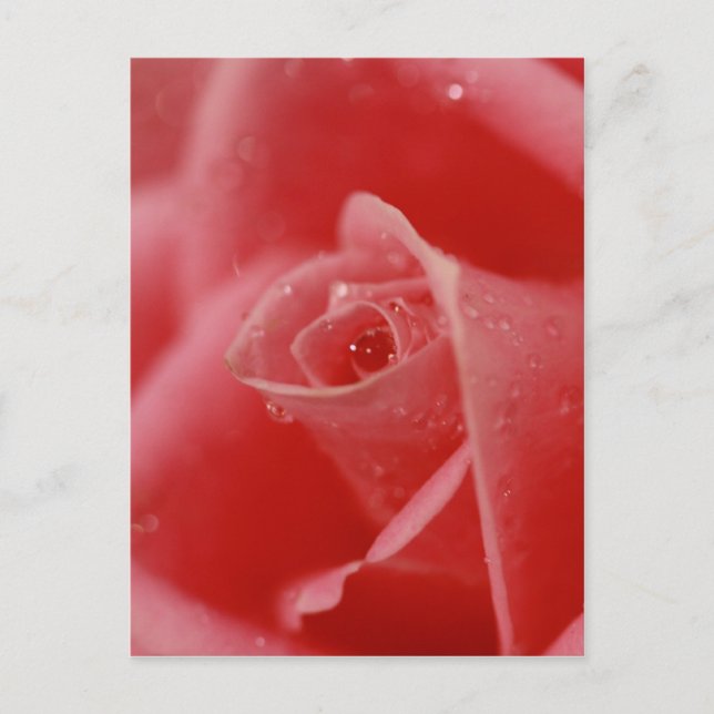 Teardrop in her eye postcard (Front)