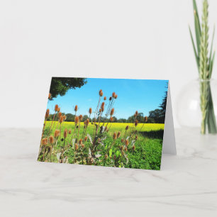 Teasels Holiday Card