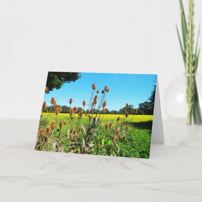 Teasels Holiday Card (Front)