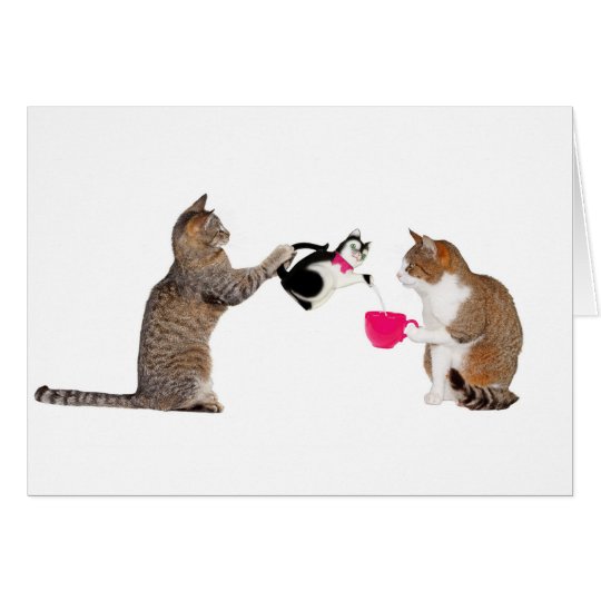 Teatime for kitty cats card