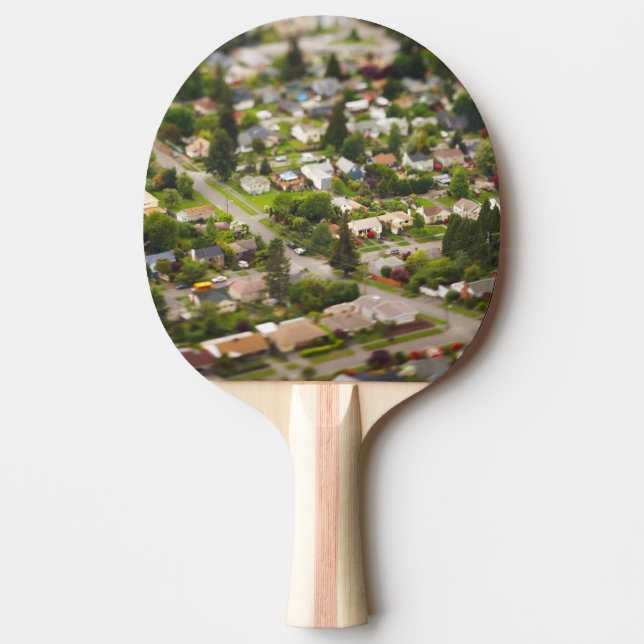 Technique #1- tilt/shift lenses ping pong paddle (Front)