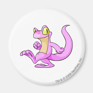 Techo Pink Magnet
