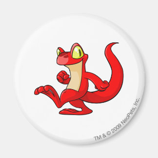 Techo Red Magnet