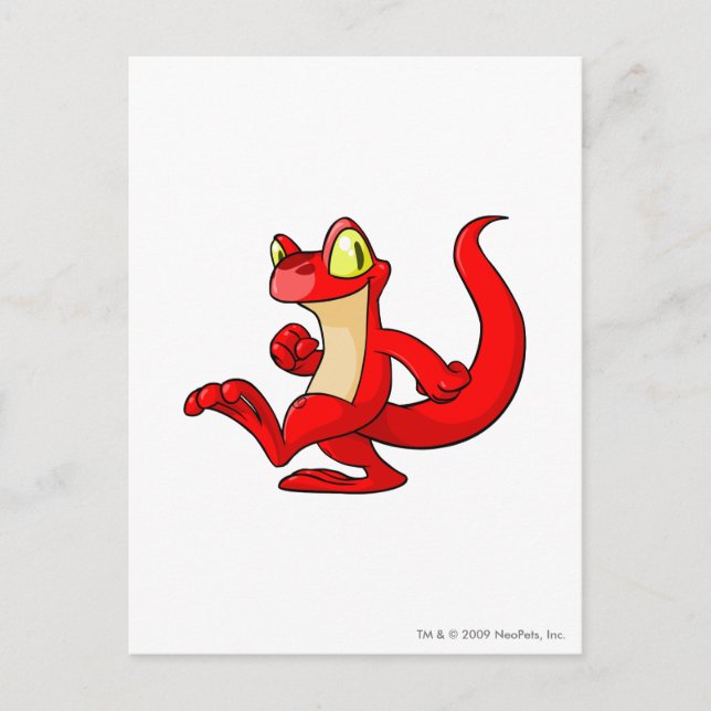 Techo Red Postcard (Front)