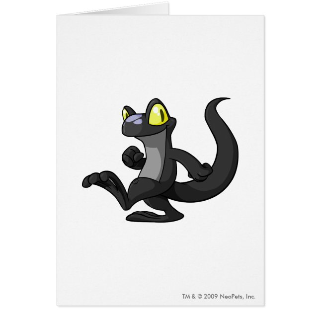 Techo Shadow (Front)