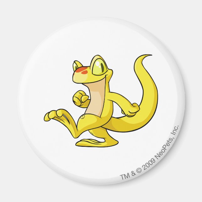 Techo Yellow Magnet (Front)