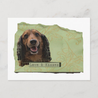 Teckle / Dachshund in greens Postcard