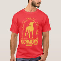 Ted Lasso | AFC Richmond Gold Arched Logo