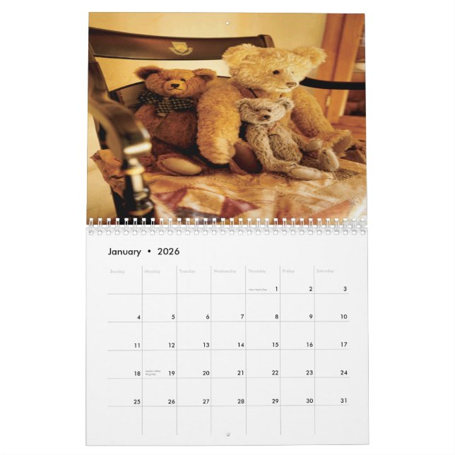 Teddy bear 2013 calendar (Jan 2026)