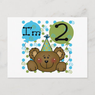 Teddy Bear 2nd Birthday Tshirts and Gifts Postcard