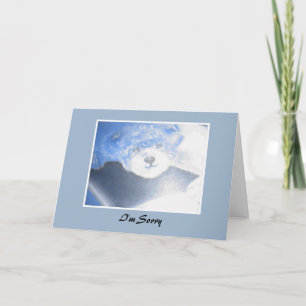 Teddy Bear Apology Card