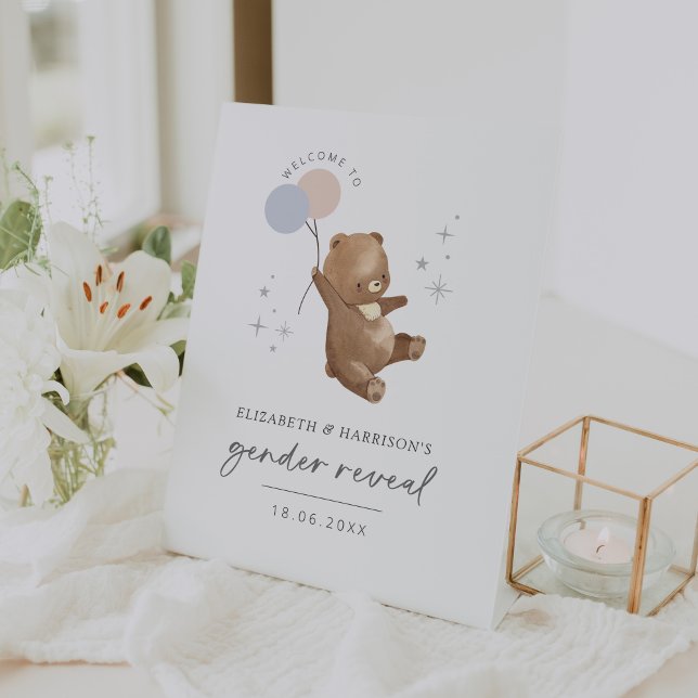 Teddy Bear Balloons Gender Reveal Welcome Sign