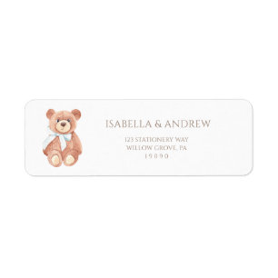 Teddy Bear Boy Classic Baby Shower Address