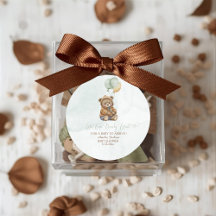 Teddy Bear Brown Sage Green Balloons Baby