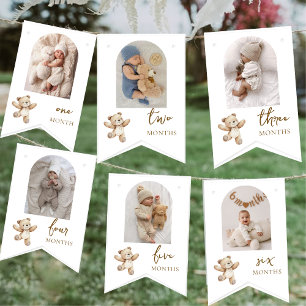 Teddy Bear First Birthday Photo Party  Bunting