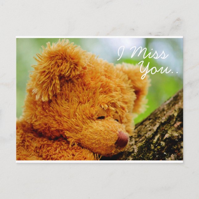 Teddy Bear I Miss You Postcard (Front)