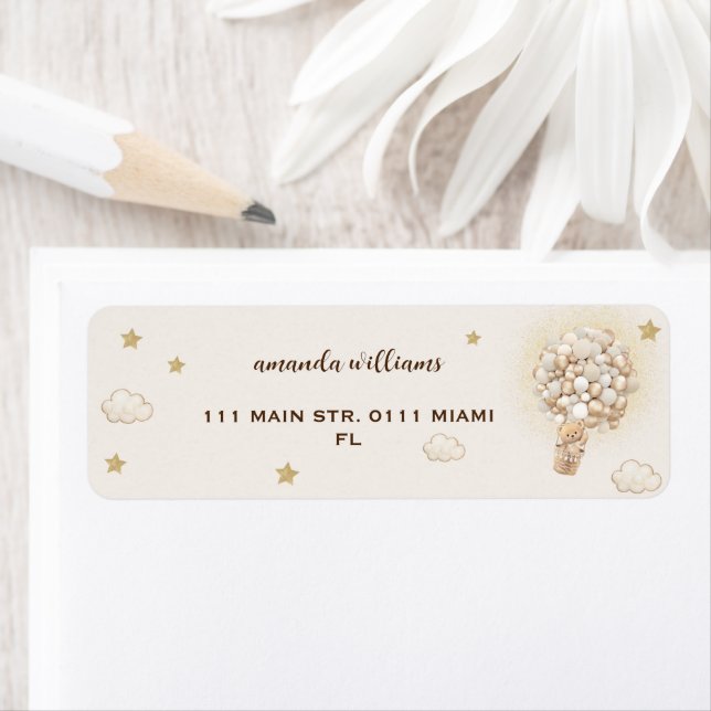 Teddy bear in the hot air balloons gender neutral  (Insitu)