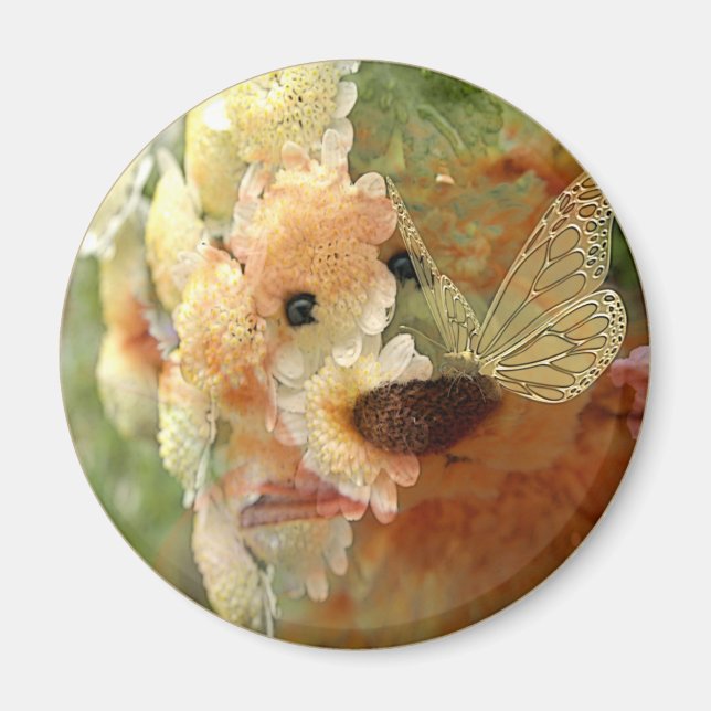 Teddy Bear Magnet (Front)