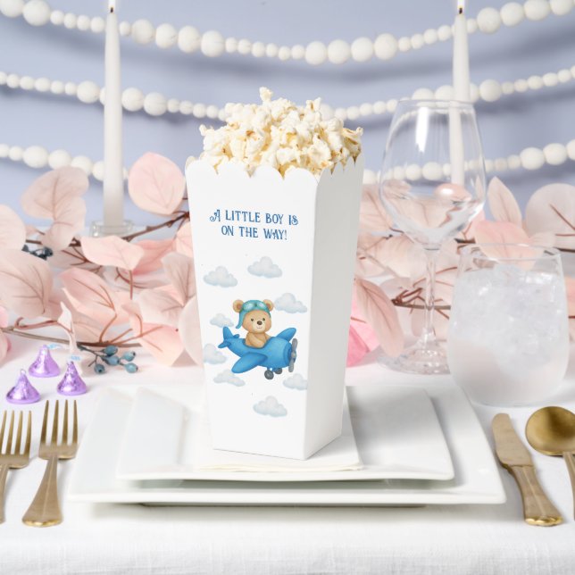 Teddy Bear on Aeroplane Baby Shower Favour Box  (Wedding)