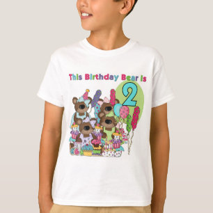 Teddy Bear Party 2nd Birthday T-shirts and Gifts