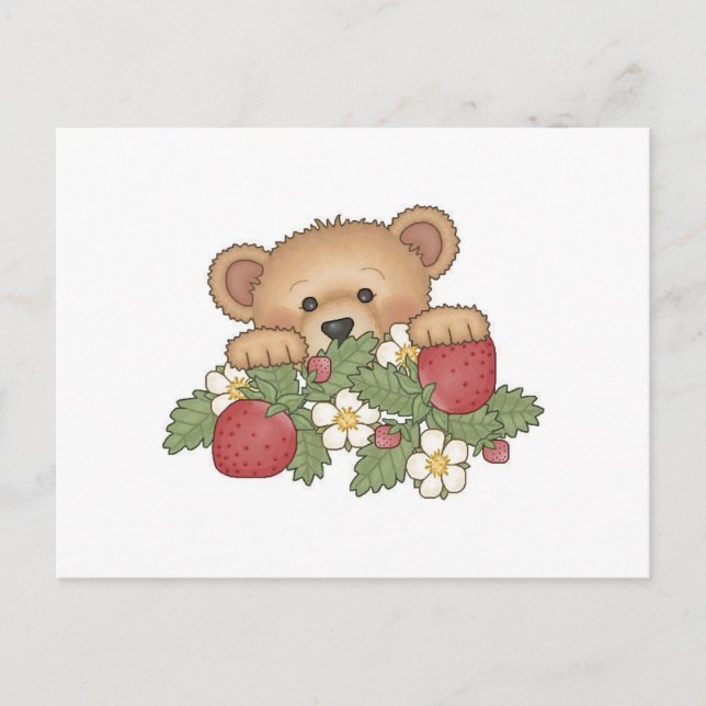 Teddy Bear picking strawberries Postcard (Front)