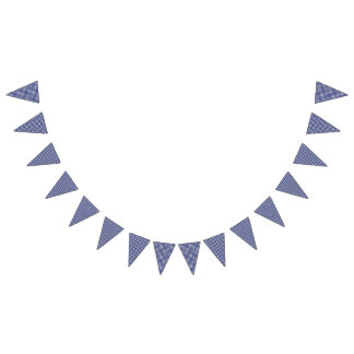 Teddy Bear Picnic Birthday -Blue Gingham Bunting