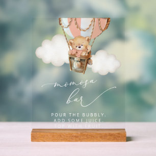 Teddy Bear, Pink Hot Air Balloon, Momosa Bar Acrylic Sign