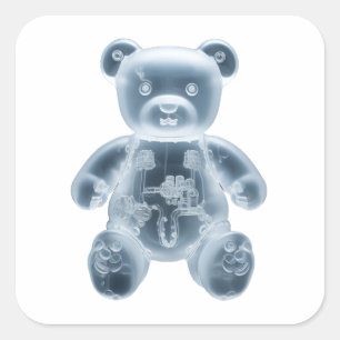 Teddy Bear : RBT Square Sticker