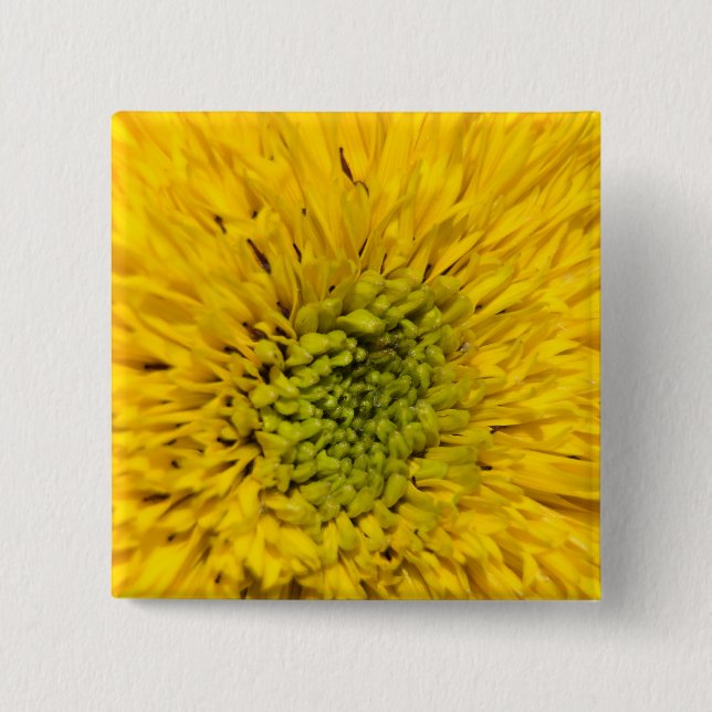 Teddy Bear Sunflower  15 Cm Square Badge (Front)