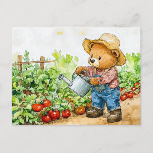 Teddy Bear Watering Tomato Plants Postcard