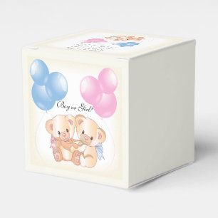 Teddy Bears Baby Gender Reveal Party Favour Box