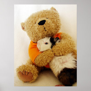 Teddy Hugs A Guinea Pig Poster