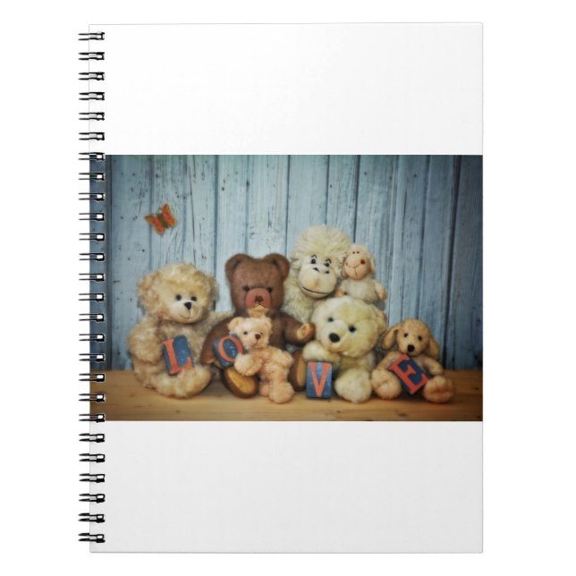 Teddy mit Freunde Notebook (Front)